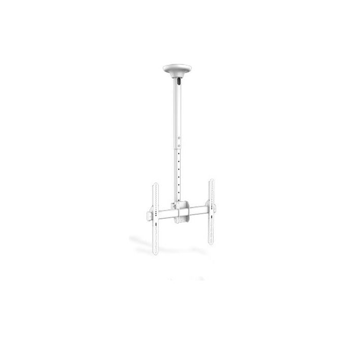 Jolly Line Supporto A Colonna C- 1 Piano Cristallo Temperato