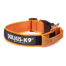 Collare per cani con maniglia Color e Gray L - 5 cm|Circonferenza 49-70 cm Arancio Fluo