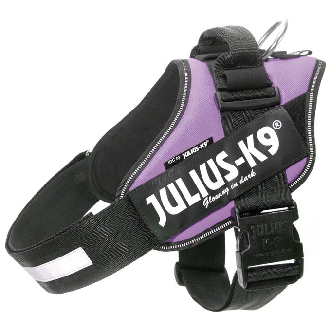 Julius-K9 Pettorina per cani IDC Powerharness Tg. 1 L - Tg. 1 (Circonferenza 63-85 cm Peso 23-30 Kg) Viola