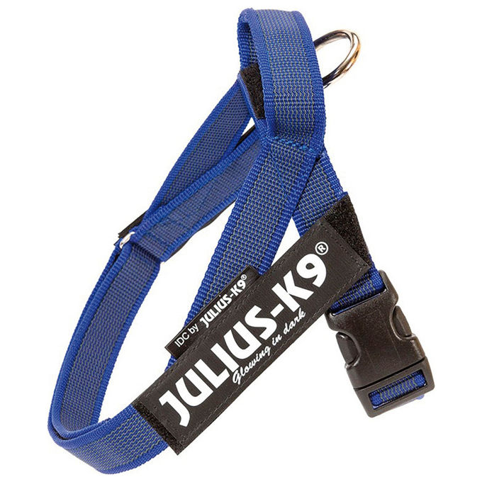 Julius-K9 Pettorina per cani IDC Color e Gray belt harness Tg. 0, 1, 2, 3 L - Tg. 1 (Circonferenza 63-85 cm Peso 23-30 Kg) Blu