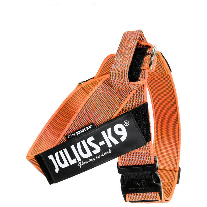 Julius-K9 Pettorina per cani IDC Color e Gray belt harness Tg. 0, 1, 2, 3 2XL - Tg. 3 (Circonferenza 82-115 cm Peso 40-70 Kg) Arancione