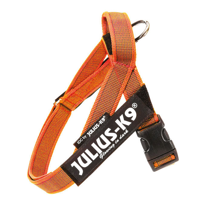 Julius-K9 Pettorina per cani IDC Color e Gray belt harness Tg. Mini-mini e Mini XS - Tg. Mini Mini (Circonferenza 40-53 cm Peso 4-7 Kg) Arancione