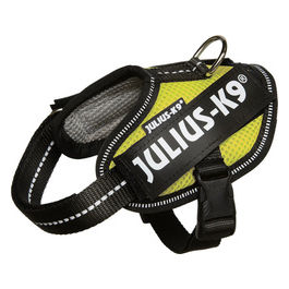 Pettorina estiva per cani IDC Powair 2XS - (Circonferenza 33-45 cm Peso 2-5 Kg) Giallo