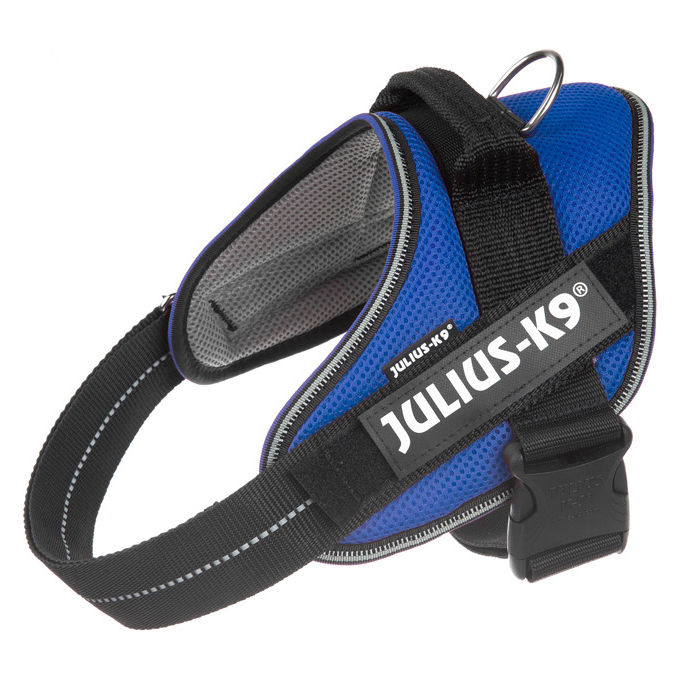 Julius-K9 Pettorina estiva per cani IDC Powair M - (Circonferenza 58-76 cm Peso 14-25 Kg) Blu