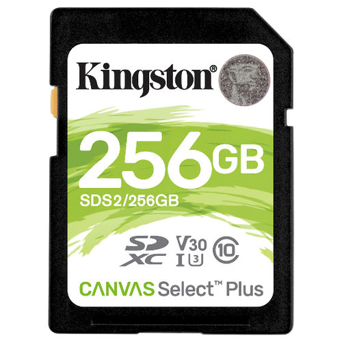 Kingston Canvas Select Plus Scheda di Memoria SD - SDS2/256 GB, Class 10 UHS-I