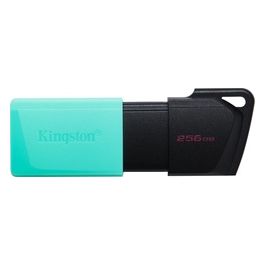 Kingston Flash Drive Usb3.2 256Gb Exodiam Nero/Verde