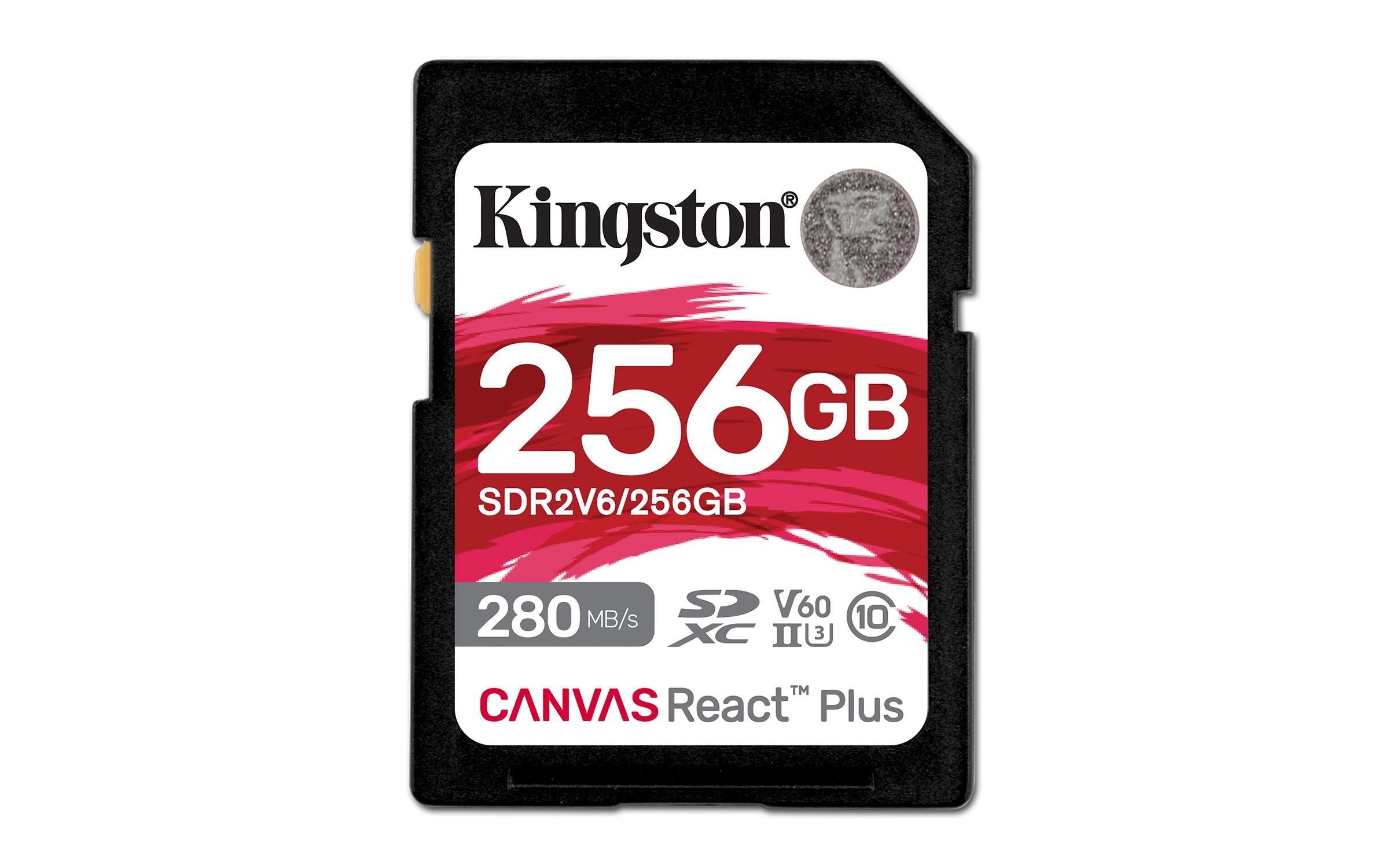 Kingston Technology 256Gb Canvas