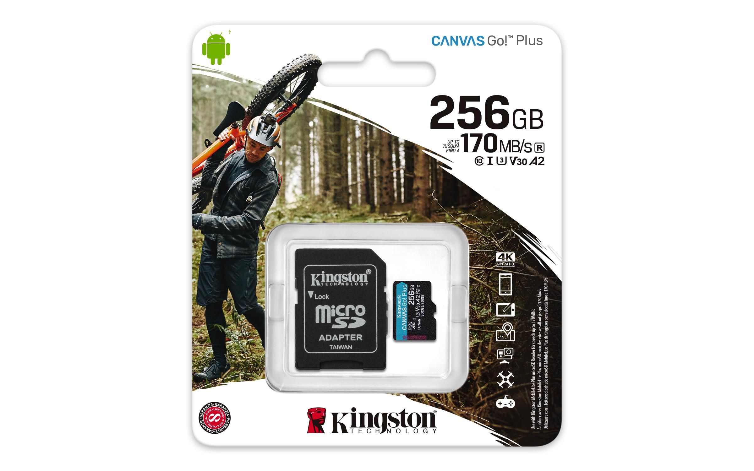 Kingston Technology Canvas Go! Plus Memoria Flash 256Gb SD