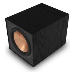 R-101SW Subwoofer Attivo da 10 Pollici Nero Amplificatore Digitale 150 W/300 W