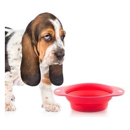 Ciotola Animali Silicone Pieghevole 1 Litro