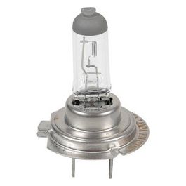 Lampa Lampada alogena - H18 - 65W - PY26d-1 - 1 pz - Scatola