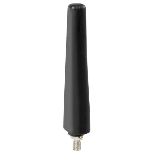 Lampa Stelo Ricambio Antenna auto (AM/FM) - 6 cm - diametro 5 mm