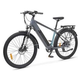 Ypsilon Mountain e-Bike Genio Unisex  Trekking Mordente