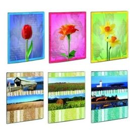 Album foto Beautifull Assortito