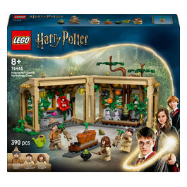 Harry Potter Lezione di Erbologia al Castello di Hogwarts