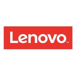 Lenovo ThinkSystem DE2000 Hic 12Gb Sas 2-Ports