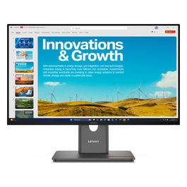 ThinkVision P24QD-40, Monitor LED 23.8", Quad HD, Nero