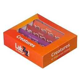 LabZZ C12 Set di Vetrini per Microscopio Preparati per Zoologia con Uova di Gamberetto Animali e Campioni di Insetti