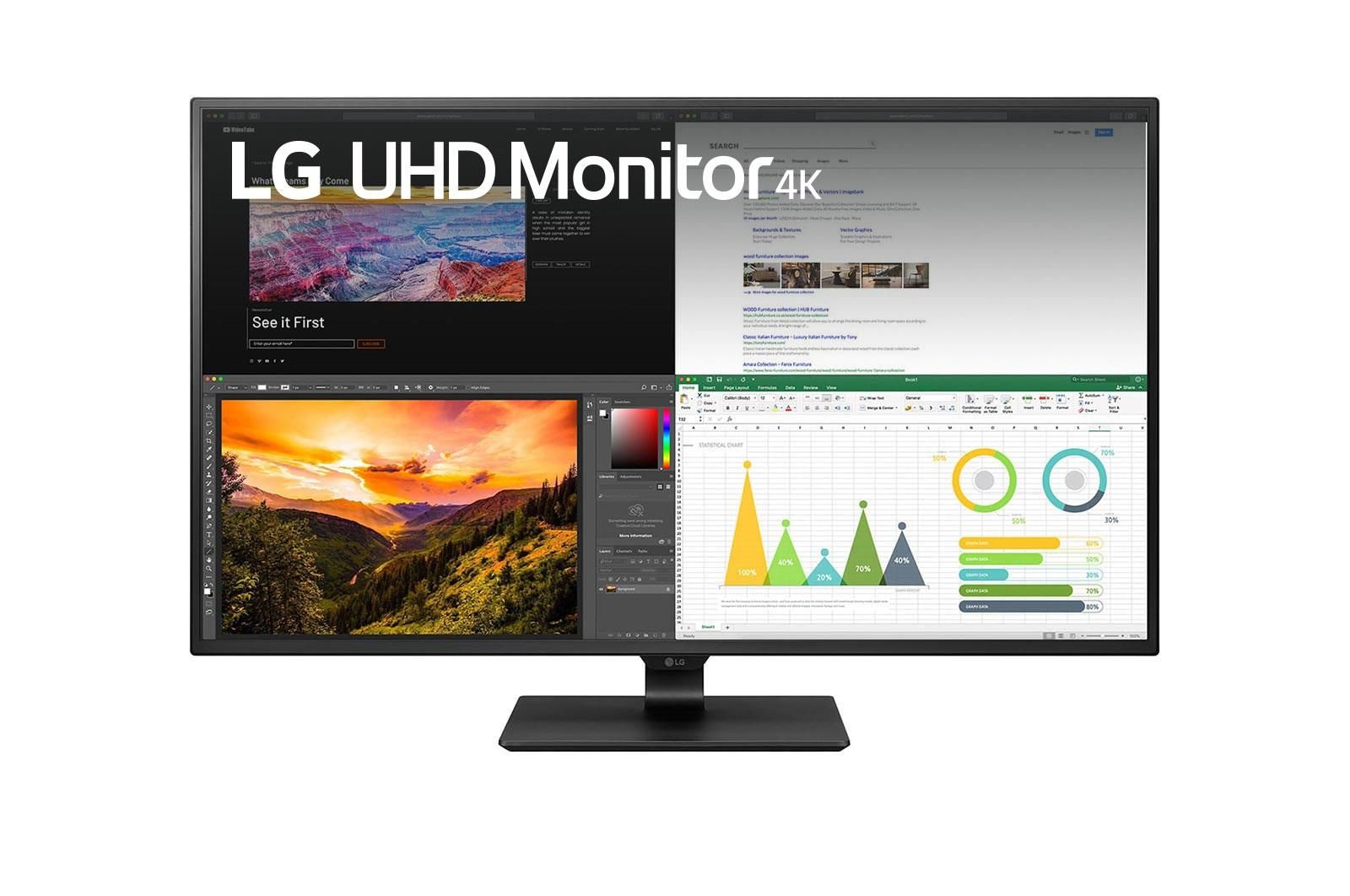 LG 43BN70UP Monitor Professionale