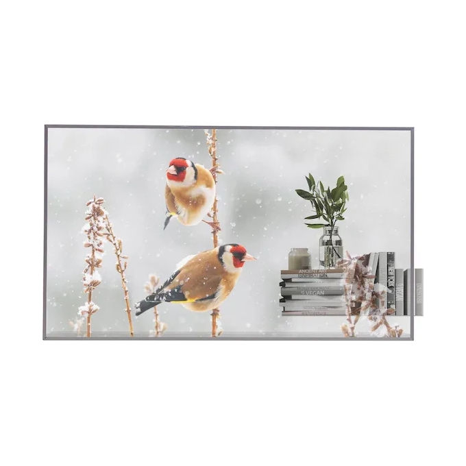LG 55EW5P-M.AEU Monitor Messaggi OLED 55EW5P-M 139.7 cm (55 '') Full HD Touchscreen Argento