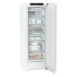 FNe 5006 Congelatore Libera Installazione