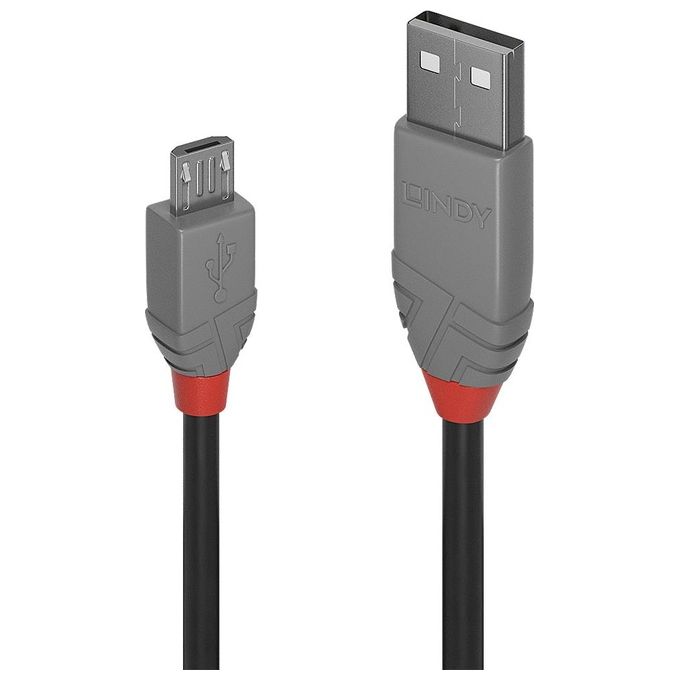 Lindy Cavo Usb 2.0 Tipo-A 0,2mt