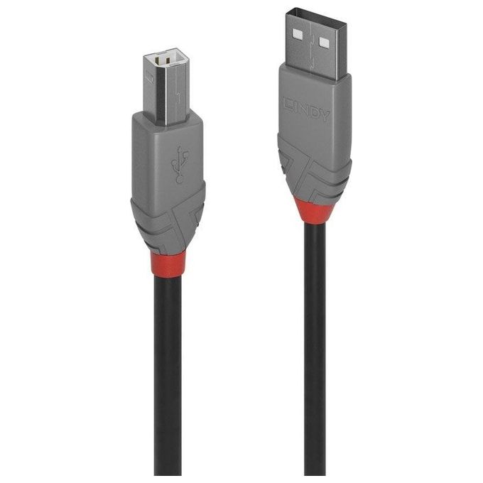 Lindy Cavo Usb 2mt 2.0 Usb A Usb B Nero