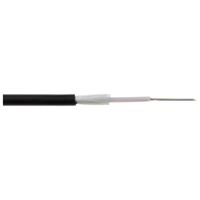 Link Cavo Fibra Ottica 12 Fibre Loose Os2 9/125 Nm Antiroditore Lszh Interno/Esterno Classe Eca