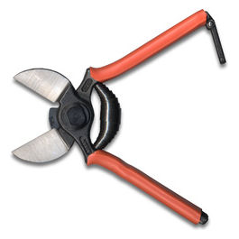 Forbice Vigna 19cm 1B