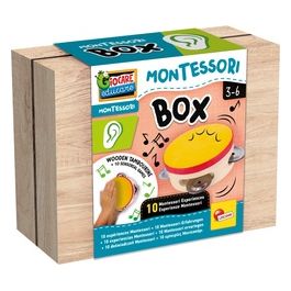 Montessori - Box Hearing