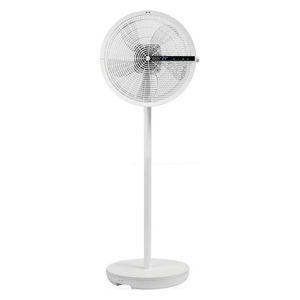  - image