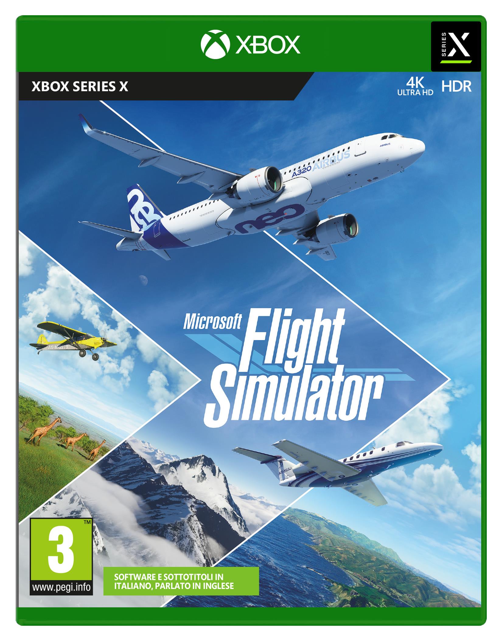 Microsoft Flight Simulator Basic