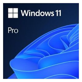 Microsoft Windows 11 Pro Licenza 1 Licenza OEM DVD 64-bit Inglese