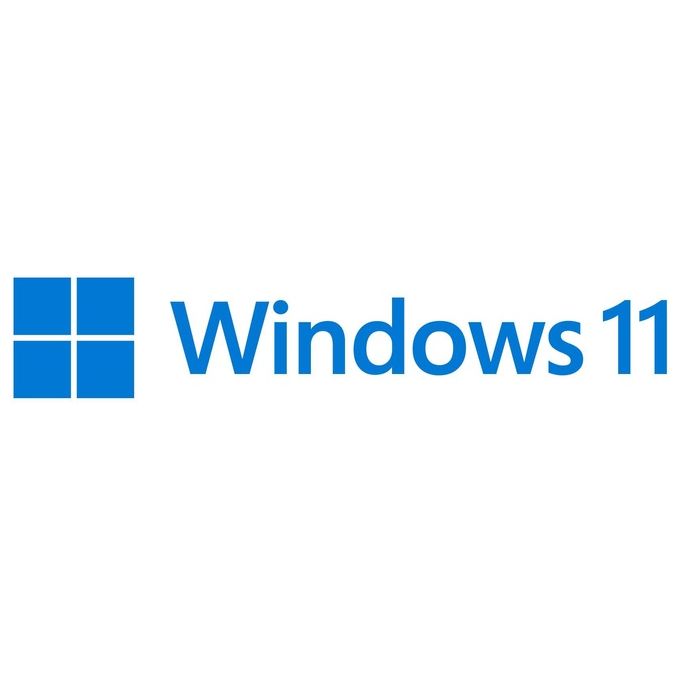 Microsoft Windows 11 Pro for Workstations 1 Licenza OEM DVD