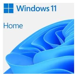 Windows Home Fpp 11 64-Bit Italian Usb