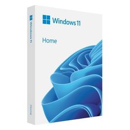 Microsoft Windows Home Fpp 11 64-Bit Italian Usb