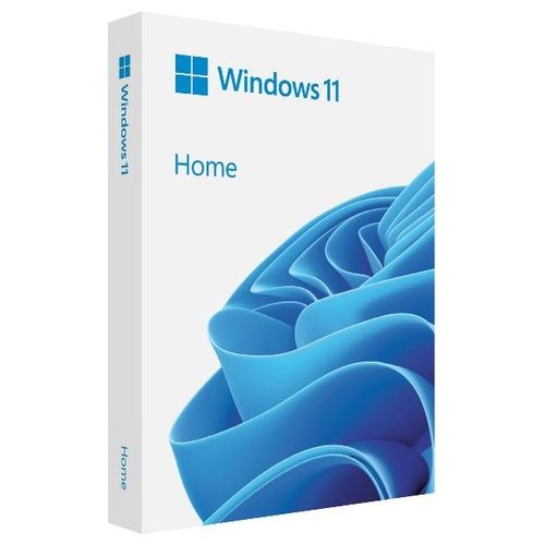 Microsoft Windows Home Fpp 11 64-Bit Italian Usb