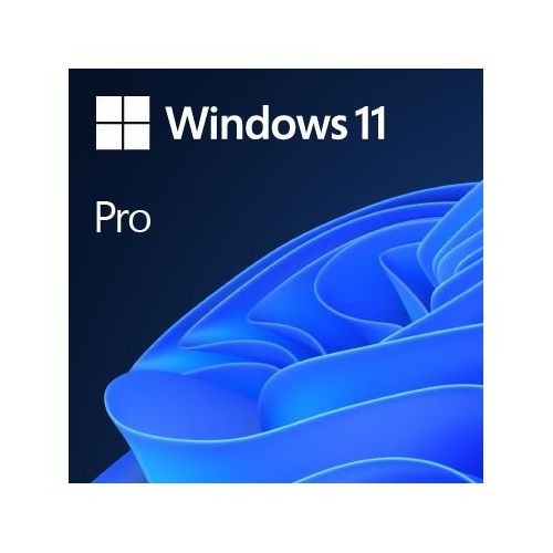 Microsoft Windows Pro Fpp 11 64-Bit Italian Usb