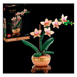 Botanicals Mini-orchidea 10343