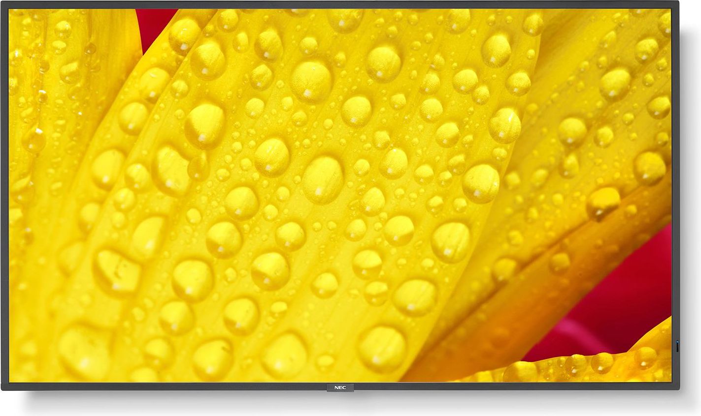 Nec MultiSync ME651 Pannello Piatto per Segnaletica Digitale 65'' IPS 4K Ultra Hd Nero