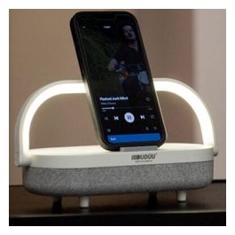 Cassa Bluetooth con Lampada Carica 10W