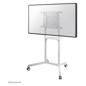 Newstar Mobile Flat Screen Floor Stand Height 160cm colore: Bianco