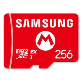Scheda Memoria MicroSDXC 256 GB