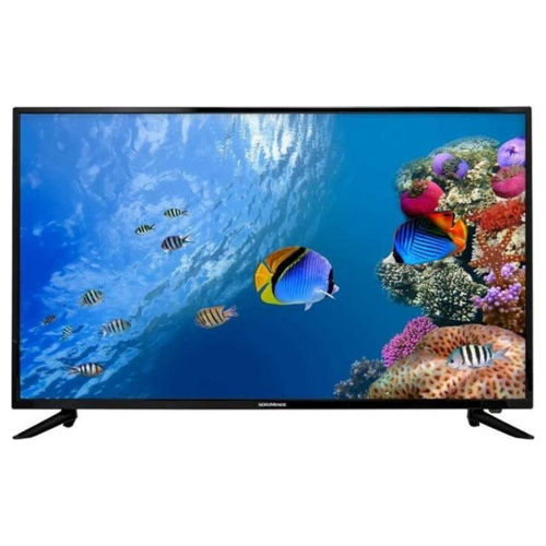 Tv Led 55