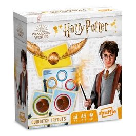 Harry Potter Quidditch Tryouts
