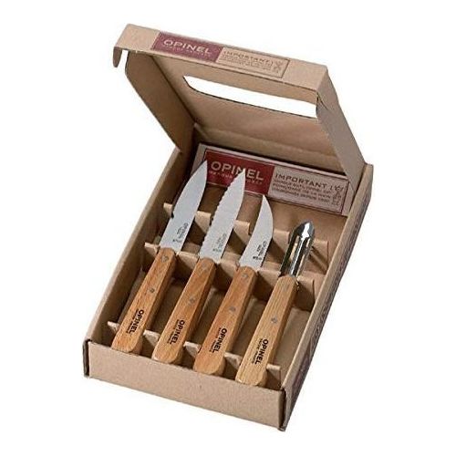 Set coltelli da Cucina 4 Pezzi Manico in Legno
