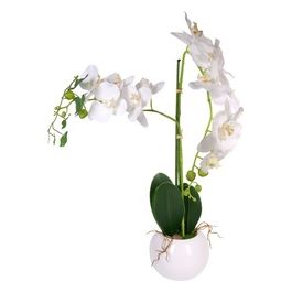 Orchidea con Due Rami in Vaso di Ceramica 40X70 cm Bianco