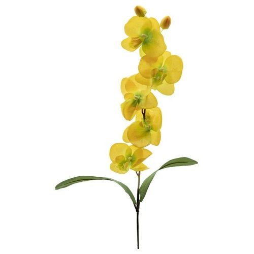 Orchidea in Plastica 74 cm Giallo