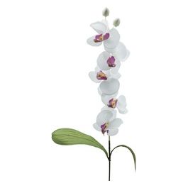 Orchidea in Plastica 74 cm Bianco