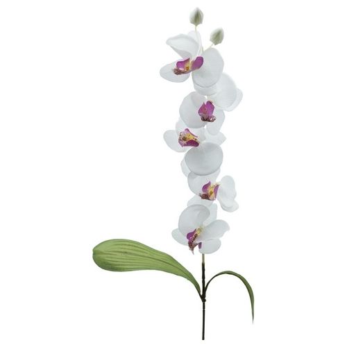Orchidea in Plastica 74 cm Bianco